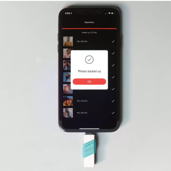 USB FLASH DRIVE FLIP SANDISK IXPAND 64GB